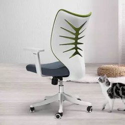 西昊/SIHOO 人体工学电脑椅子 座椅 家用转椅 办公椅 会议椅 鱼骨镂空设计 学生椅 M68猫瞳绿，一件五折
