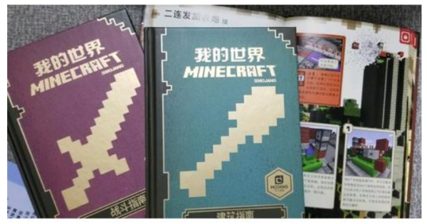 《我的世界》(套装共4册)