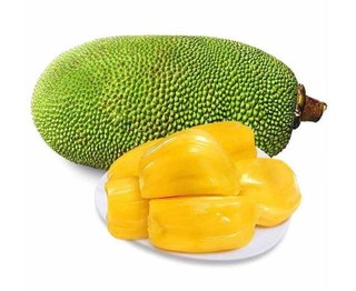 一岛一果 黄肉干苞菠萝蜜  15斤-19斤/个