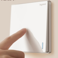 TCL-legrand 罗格朗 仕典系列 单开单控荧光面板