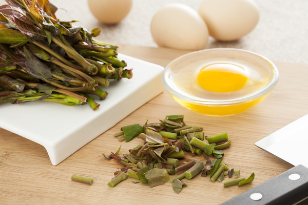 暮春雨来,一口香椿一口茶