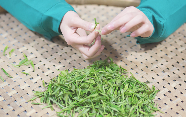 暮春雨来，一口香椿一口茶