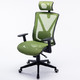 京东PLUS会员：伯力斯 MD-0835人体工学办公椅子 绿色