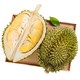 泰国进口托曼尼榴莲 1个装 约1.6-2.1kg 新鲜水果