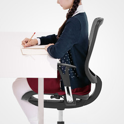 和顿 儿童学习椅 中大学生座椅 青少年写字椅子 靠背椅 写作业凳子简约网布可升降调节转椅 斑马纹