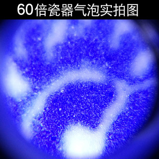 致旗 迷你手机显微镜 60倍 电池款