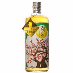 天空之月 日本原瓶进口酒造天空之月梅酒梅子甜酒洋酒720ml