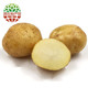 新鲜土豆 农家自种蔬菜云南小土豆马铃薯洋芋 2.5kg