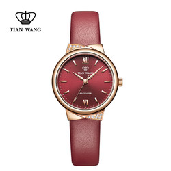TIAN WANG 天王 3951 小表盘防水女士石英手表