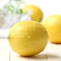 FLAVORDAY 味为天 万州黄柠檬 5斤