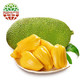 移动端：海南菠萝蜜 新鲜水果 1个装14-17斤