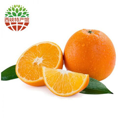 伦晚脐橙 新鲜橙子 当季水果 5斤装小果