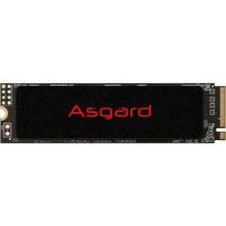 阿斯加特（Asgard）250GB SSD固态硬盘 M.2接口(NVMe协议) AN2系列-游戏极速版｜五年质保