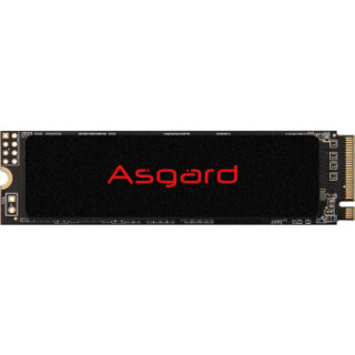 Asgard 阿斯加特 AN2 NVMe M.2 固态硬盘(PCI-E3.0)