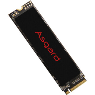 Asgard 阿斯加特 AN2 NVMe M.2 固态硬盘(PCI-E3.0)