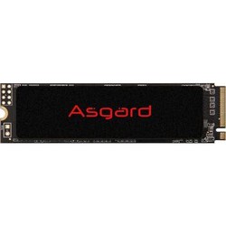 Asgard 阿斯加特 AN2 系列 2TB M.2接口 SSD固态硬盘