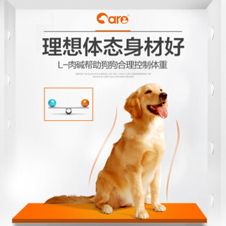 CARE 好主人 中型成犬鸡肉味 狗粮 2.5kg