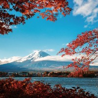 京东422超品日：北京/上海领区  日本个人旅游签证 极简套餐