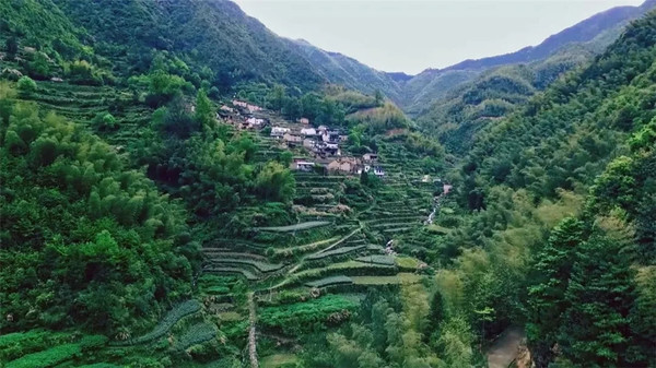 依山而建的野奢民宿,过地道山民生活!浙江丽水 松阳原舍·揽树1晚套餐