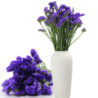 美猫 勿忘我 干花花束 不含花瓶 2件装