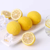 四川特产（二级果）黄柠檬5斤 产地直发 新鲜多汁