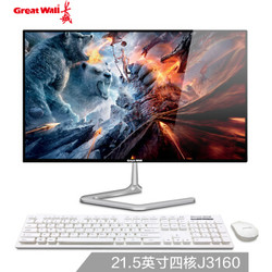 GreatWall 长城 A2203 21.5英寸一体机台式电脑（J3160、8GB、240GB）