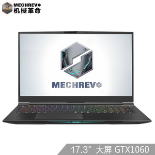 MECHREVO 机械革命 X8Ti Plus 17.3英寸 窄边游戏笔记本（i5-8300H、8GB、128GB+1TB、 144Hz、GTX1060 ）