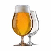 SPIEGELAU 诗杯客乐 啤酒杯系列 高脚郁金香就杯 比尔森啤酒杯 2件 440ml