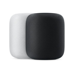 Apple 苹果 HomePod 智能音箱 深空灰/白色