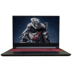 Shinelon 炫龙 T3PRO 15.6英寸游戏本(i5-9300H、8G、256G+1T、GTX1650)