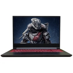 Shinelon 炫龙 T3PRO 15.6英寸游戏本（i5-9300H、8GB、256GB+1TB、GTX1650 4GB）