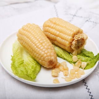 悦丰收 有机糯玉米 约250g 白糯玉米 黏玉米 玉米棒 新鲜玉米 非转基因 真空包装