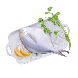 纯色本味 冷冻舟山白鲳鱼（1条装） 70g/袋 鲳鱼 自营 生鲜  烧烤食材 海鲜水产