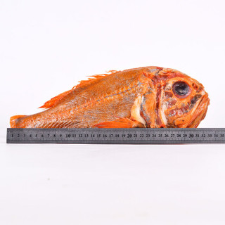 海买 南极长寿鱼 800g/袋 1条 海鲜水产