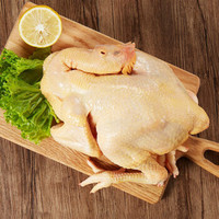 西南冷 冷冻黄油老鸡 大客户量贩装 19.5kg 禽肉蛋品