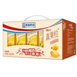 蒙牛 真果粒牛奶饮品（芒果）250ml*12 礼盒装