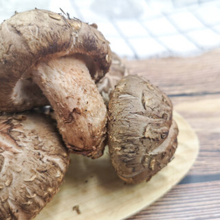 绿鲜知 花菇 约300g 新鲜蔬菜 火锅食材