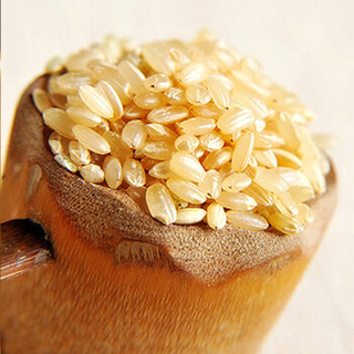 先农氏 糙米2.5kg 五常稻花香 能发芽的东北胚芽米 五谷杂粮 粗粮 大米伴侣 真空装 无添加