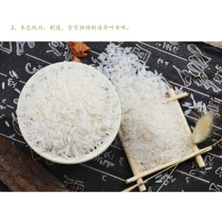 厨中宝 5kg 泰国茉莉香米 5kg 籼米大米泰国香米长粒香米 新米上市