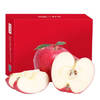 潘苹果  甘肃天水红富士苹果 12粒装 单果170-210g 净重4.5斤 新鲜水果