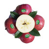 甘肃静宁 高原红富士苹果 6个装 单果170g以上 自营水果