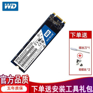 Western Digital 西部数据 M.2 WDS500G2B0B 固态硬盘 (500GB、M.2)