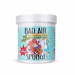 BAD AIR SPONGE 吸收异味空气净化剂 400g