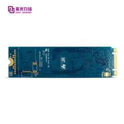 UNIC MEMORY 紫光存储 P100 M.2 SSD 固态硬盘 256GB