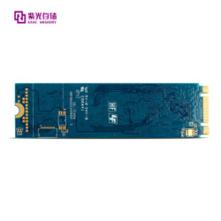 UNIC MEMORY 紫光存储 P100 M.2 SSD 固态硬盘 256GB