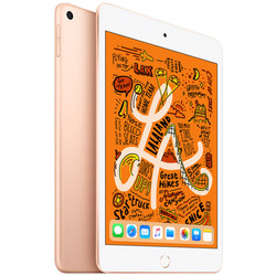 Apple 苹果 新iPad mini 7.9英寸平板电脑 WLAN