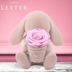 Love Letter 告白兔 永生花礼盒 母亲节 520礼物
