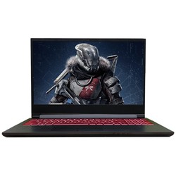 Shinelon 炫龙 T3PRO-580S2N 15.6英寸游戏笔记本电脑 (i5-9300H、 8GB、256GB、GTX1650 4GB)