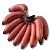 京东PLUS会员：帆儿庄园 福建漳州红皮香蕉  2.5kg