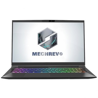 MECHREVO 机械革命 深海泰坦X3 17.3英寸 笔记本电脑 (黑色、酷睿i7-9750H、8GB、512GB SSD、GTX 1660 Ti、144Hz)